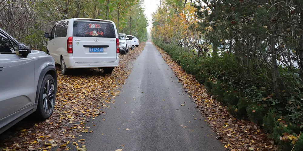 純電動樹葉收集車,樹葉收集車,落葉收集車,電動落葉收集車